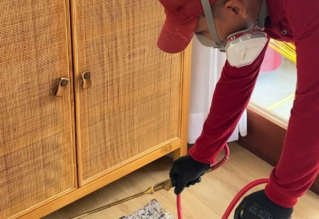 Jangan Tunggu Ambruk! Jasa Anti Rayap Semarang Ini Lagi Dicari